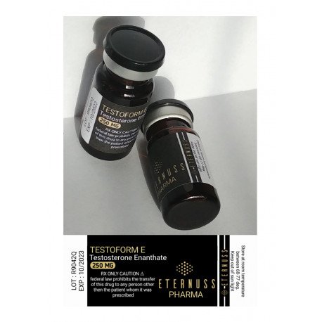 buy testosterone enanthate 250mg 106 313.jpg