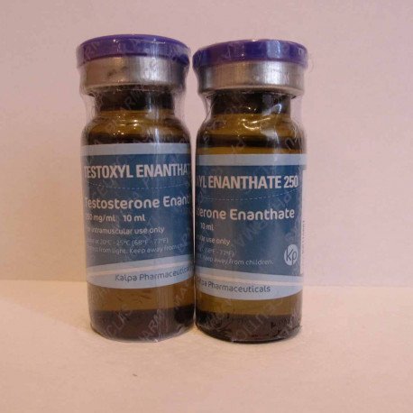 testoxyl enanthate 250 82 92.jpg